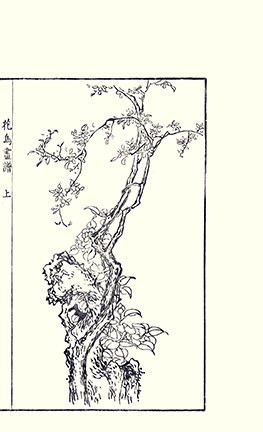 photo10.jpg