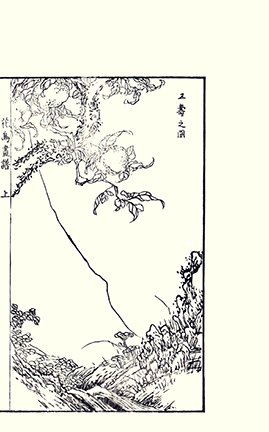 photo3.jpg