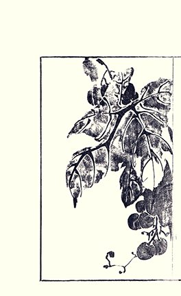 photo32.jpg