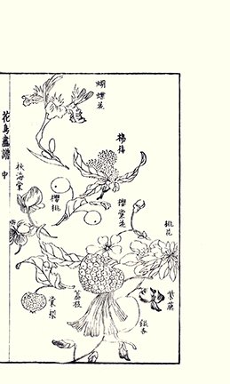 photo33.jpg