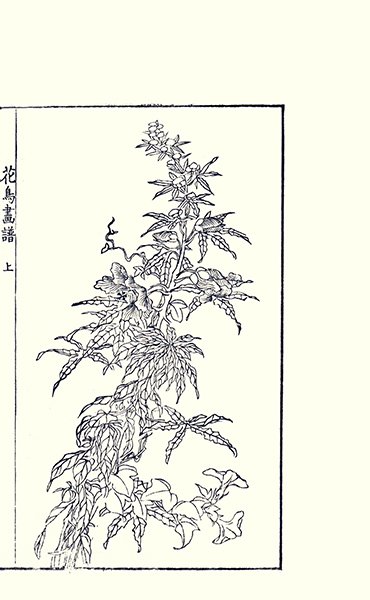 photo19.jpg