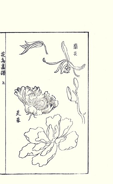 photo24.jpg