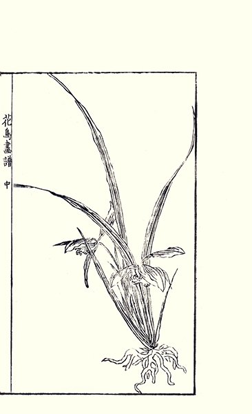 photo25.jpg