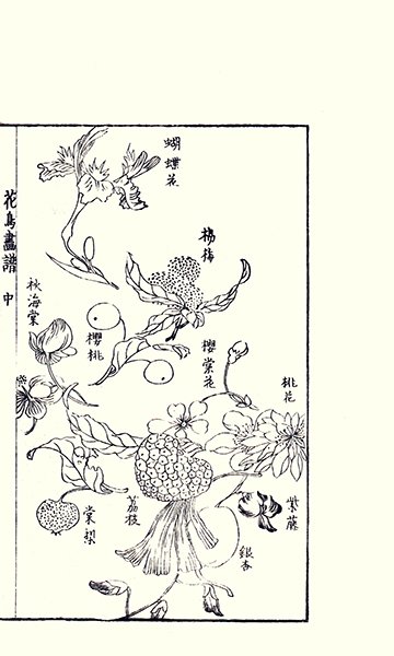 photo33.jpg