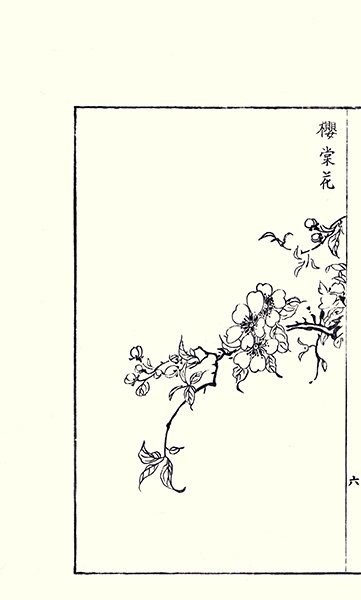 photo9.jpg