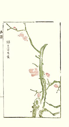 photo10.jpg