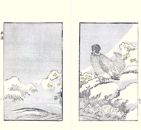 photo19.jpg