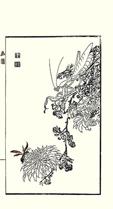 photo25.jpg