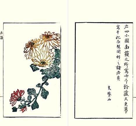 photo27.jpg