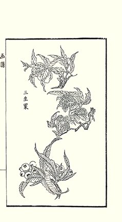 photo40.jpg
