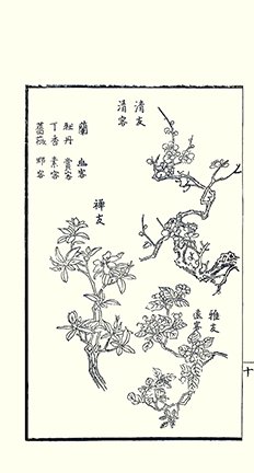 photo44.jpg