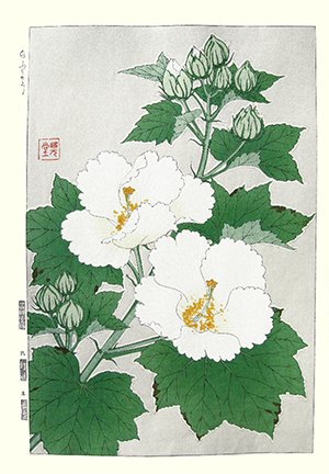 photo61.jpg
