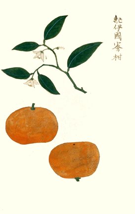 photo10.jpg
