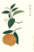photo14_small.jpg