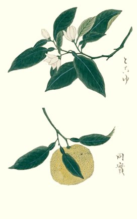 photo19.jpg