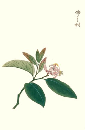 photo25.jpg