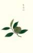 photo7_small.jpg