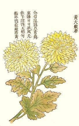 photo.jpg