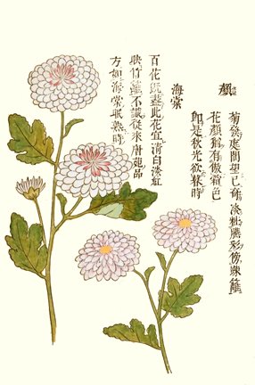 photo10.jpg