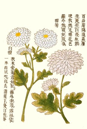 photo13.jpg