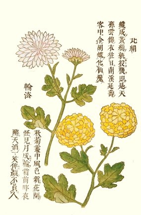 photo15.jpg