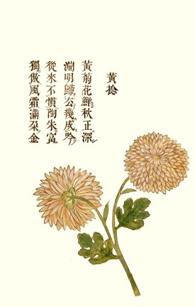 photo18.jpg