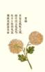 photo18_small.jpg