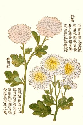 photo21.jpg