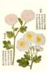 photo21_small.jpg
