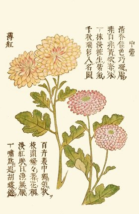 photo24.jpg