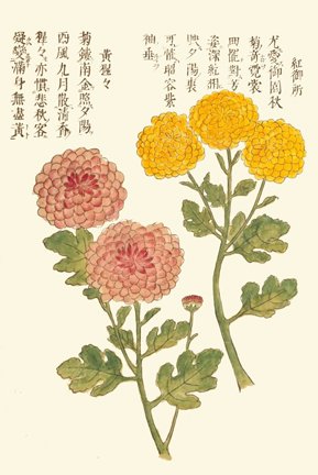 photo26.jpg