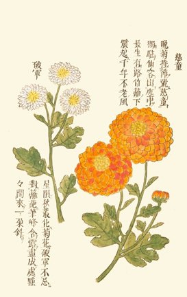 photo27.jpg