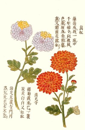 photo29.jpg