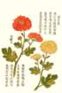 photo32_small.jpg