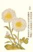 photo36_small.jpg