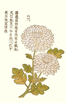photo37.jpg