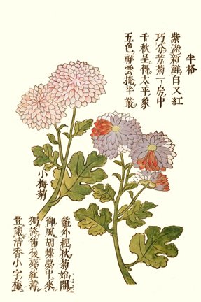 photo41.jpg