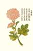 photo51_small.jpg