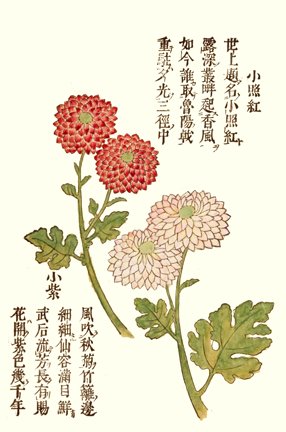 photo52.jpg