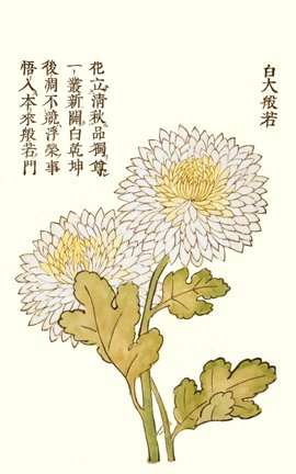 photo7.jpg