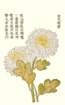 photo7_small.jpg
