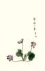 photo14_small.jpg