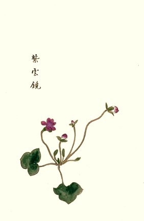 photo15.jpg