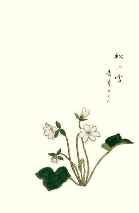 photo17.jpg
