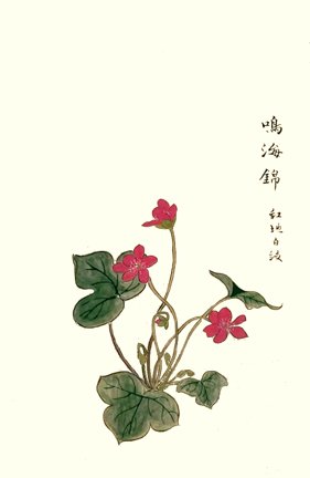 photo21.jpg