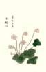 photo22_small.jpg