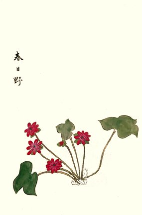 photo24.jpg