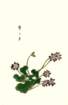 photo25_small.jpg