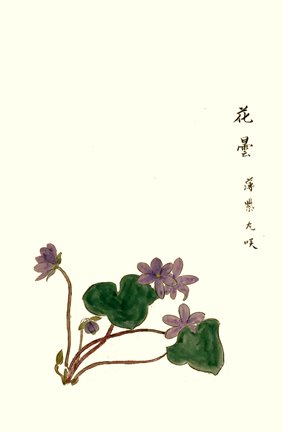 photo27.jpg