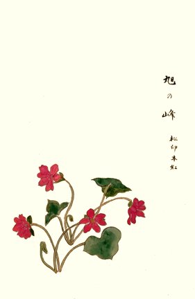 photo31.jpg